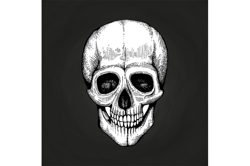 hand-sketched-vector-death-scary-human-skull-on-chalkboard