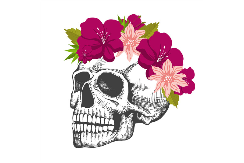 human-skull-sketch-with-floral-wreath-isolated-on-white-background