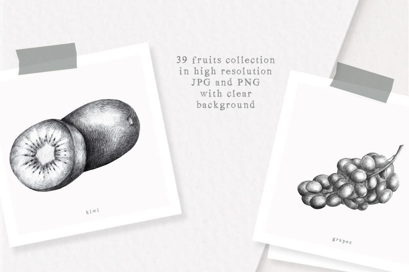 hand-drawn-fruit-collection
