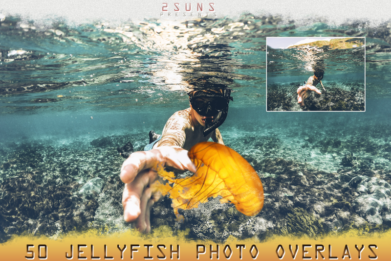 50-photoshop-overlay-jellyfish-overlay-photo-overlay-with-jellyfish