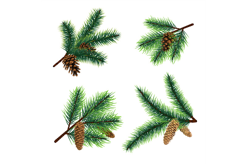 fir-branch-christmas-tree-branches-with-cones-pine-xmas-vector-decor