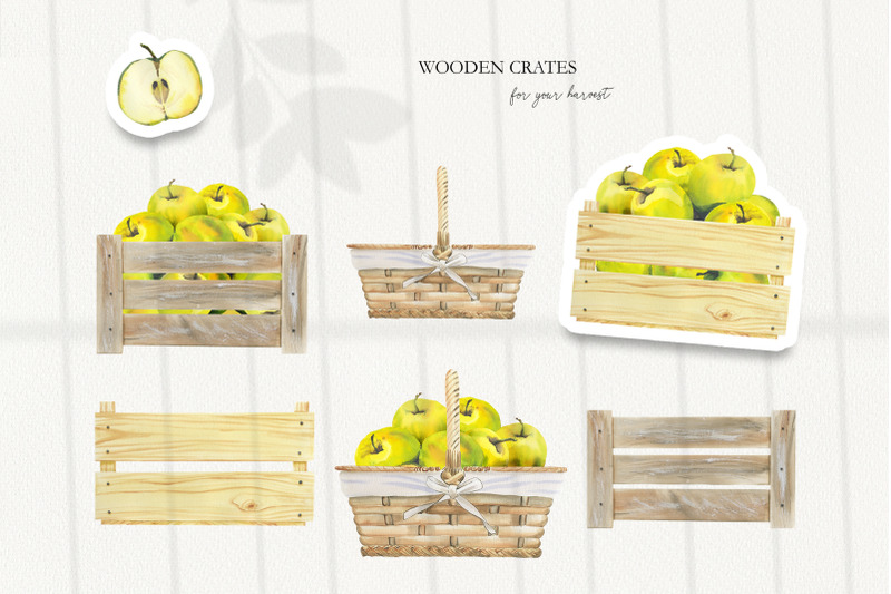 watercolor-yellow-apples-set
