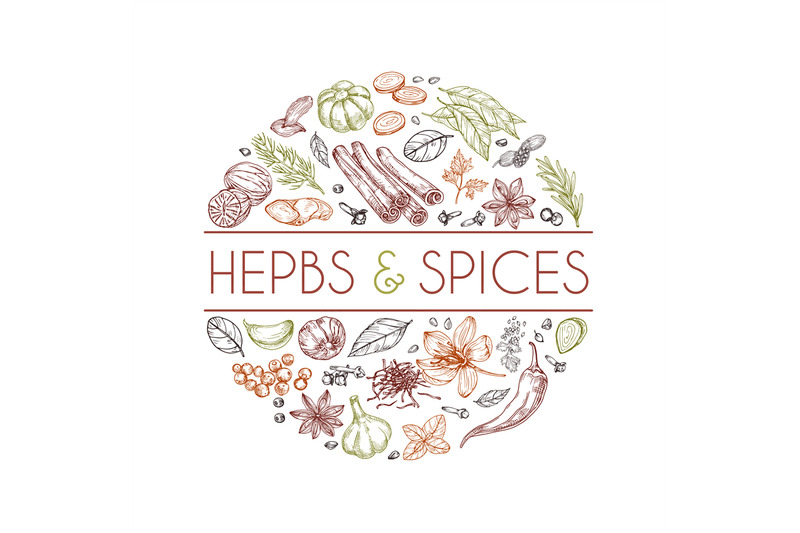 herbs-and-spices-background-hand-drawn-asian-food-indian-cooking-her