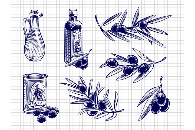 vector-olive-oil-bottles-and-olives-illustration