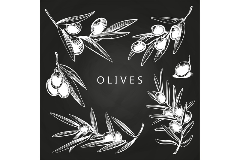 hand-drawn-olive-branches-on-vector-chalkboard