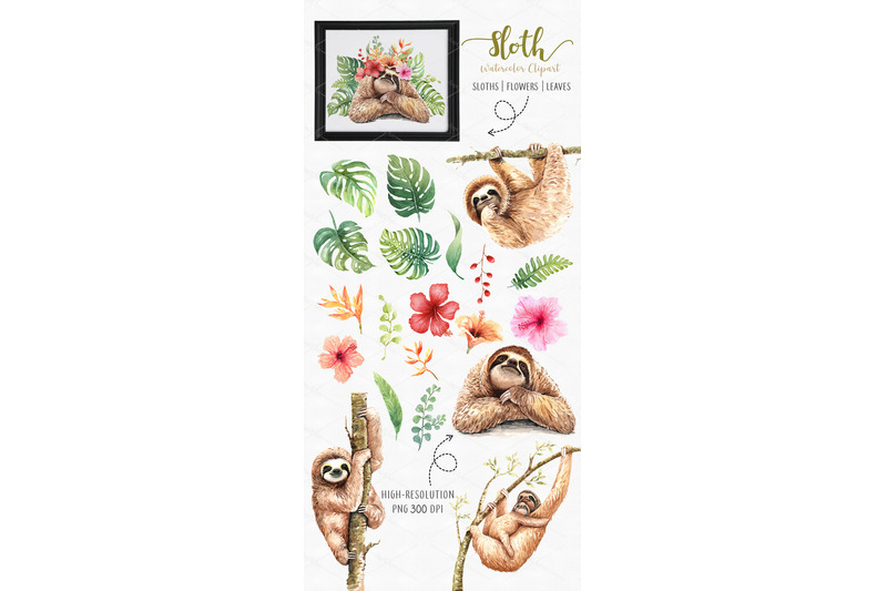 sloth-animals-watercolor-cliparts