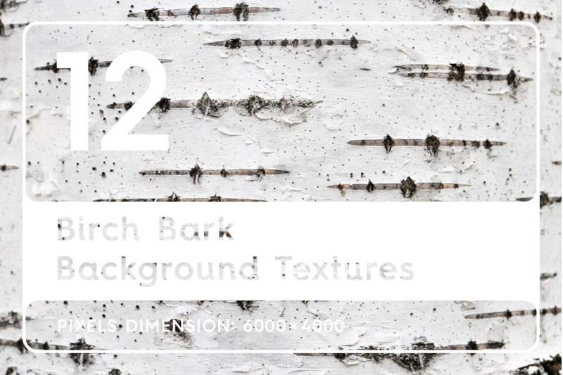 12-birch-bark-background-textures