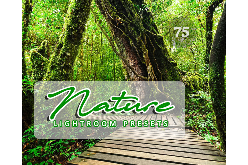 75-nature-lightroom-presets-for-photographer-designer-photography-et