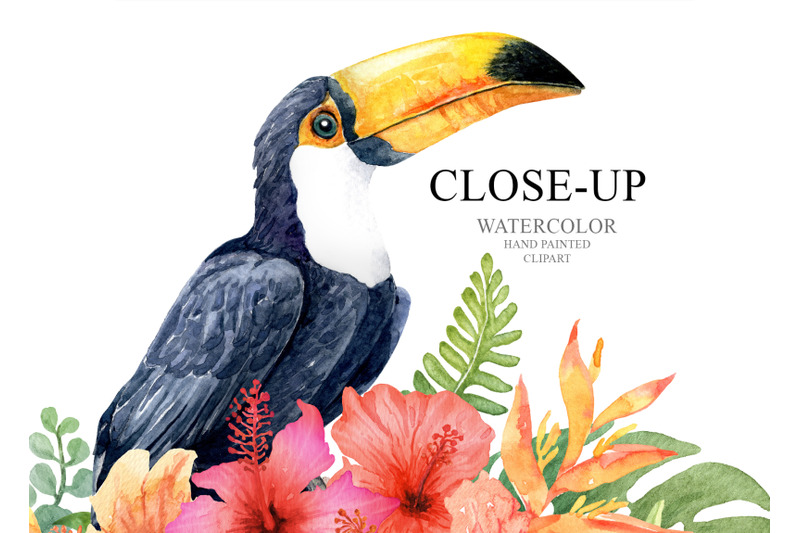 watercolor-toucan-bird-flamingo-bird-and-great-hornbill-bird