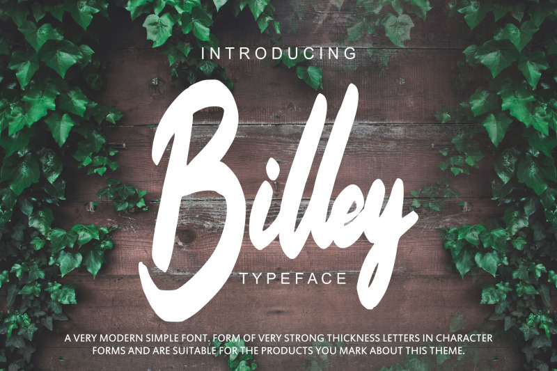 billey-handwritten-script