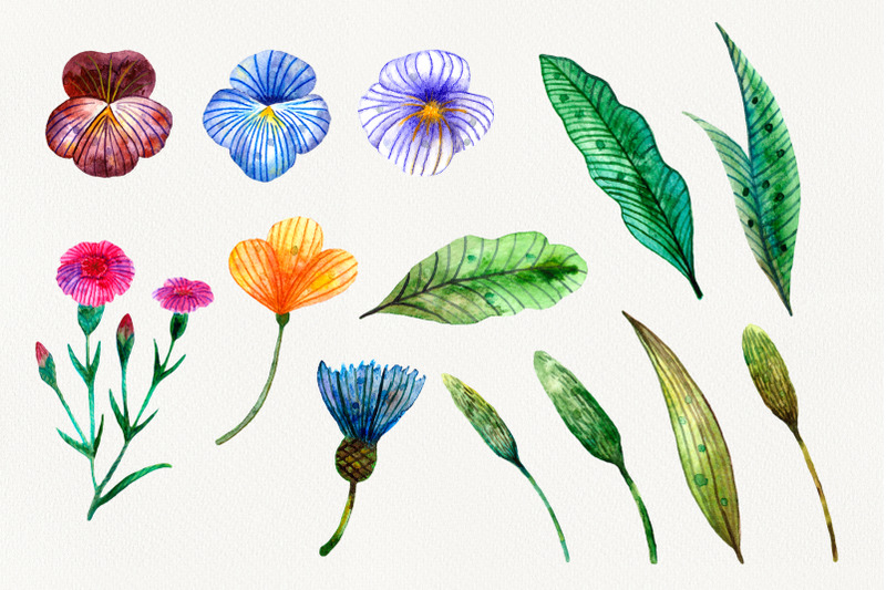 watercolor-set-of-summer-wildflowers