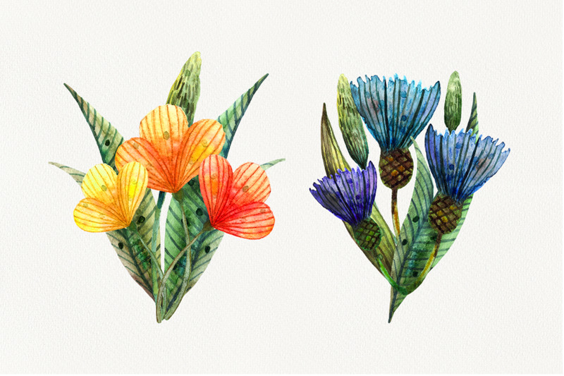 watercolor-set-of-summer-wildflowers
