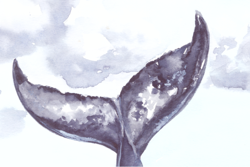 whale-039-s-tail-watercolor-illustration
