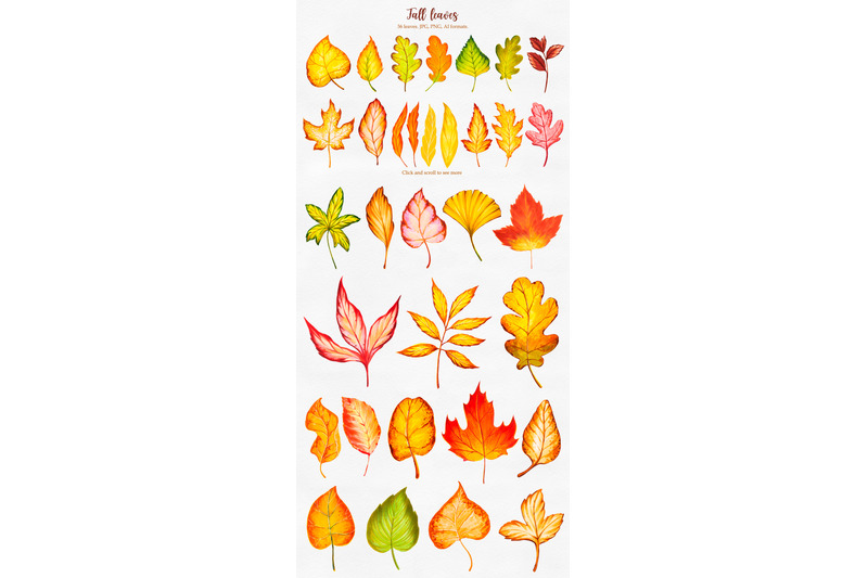 fall-collection-markers-set