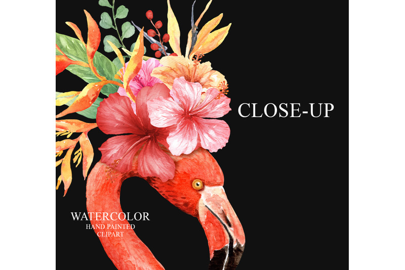 watercolor-flamingo-tropical-frames-clipart-and-flowers