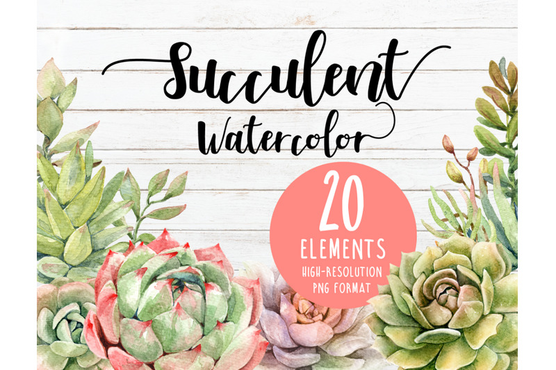 watercolor-succulent-cactus-cacti-clipart-individual-element
