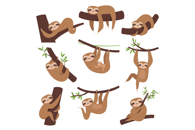 sloth-on-branch-cute-little-kid-sleepy-animal-on-branch-in-zoo-playin