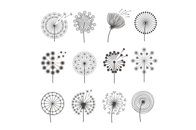 dandelion-icon-botanical-pictures-flowers-silhouettes-herbal-black-pi