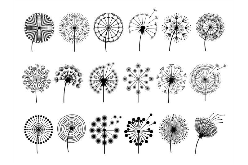 dandelion-silhouettes-herbal-illustrations-flowers-decoration-concept