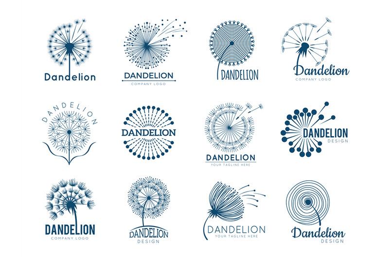 botany-dandelion-logo-herbal-leaves-flowers-vector-illustrations-for