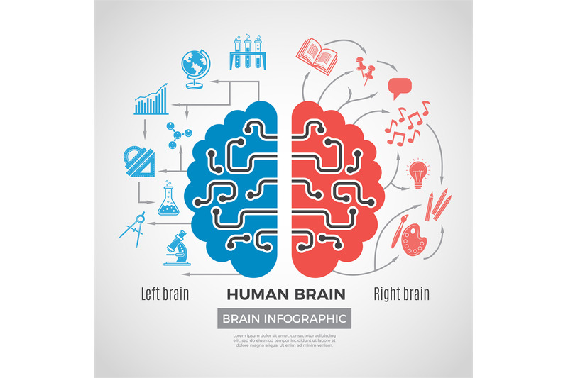 brain-silhouette-infographic-creative-thinking-learning-processes-in