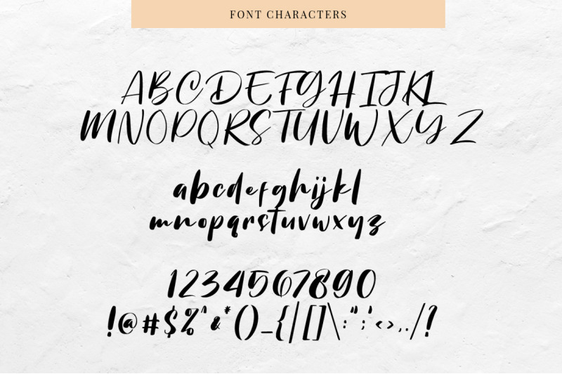 Chellyne Modern Script Font By Stringlabs Thehungryjpeg Com