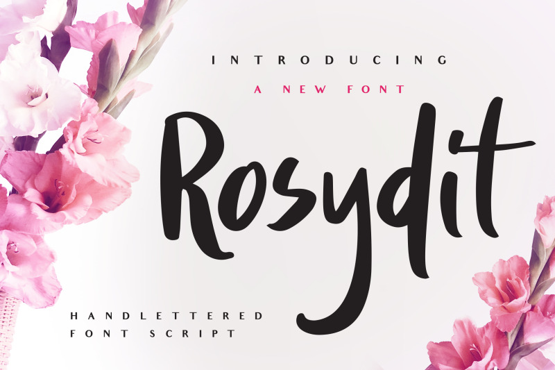 rosydit-handlettered-script-font