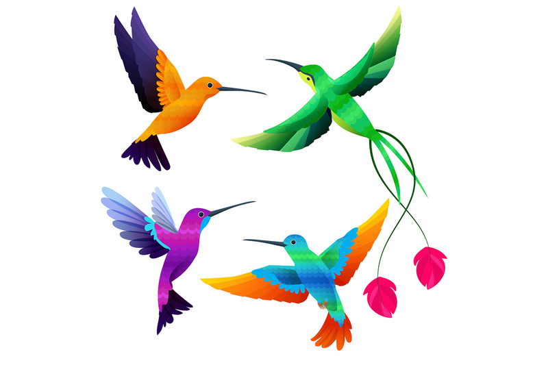 hummingbirds-collection-exotic-tropical-little-birds-flying-vector-ca