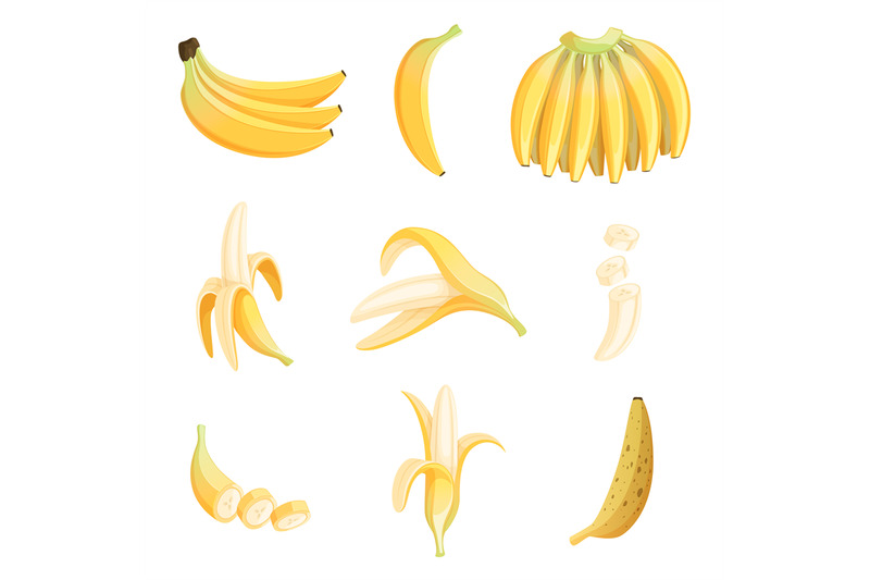 banana-cartoon-fruits-half-appetizing-dessert-vector-pictures-collect