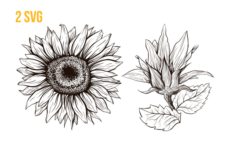 sunflower-sublimation-design-and-svg-for-thanksgiving