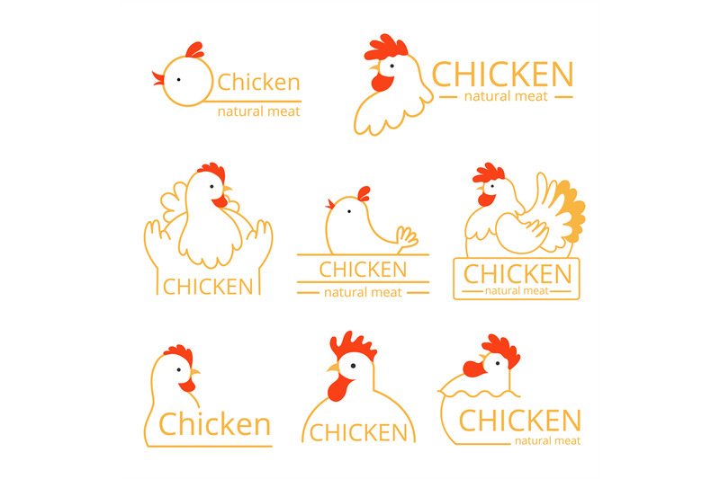 pollo-logo-design-template-of-identity-pictures-with-farm-birds-chick