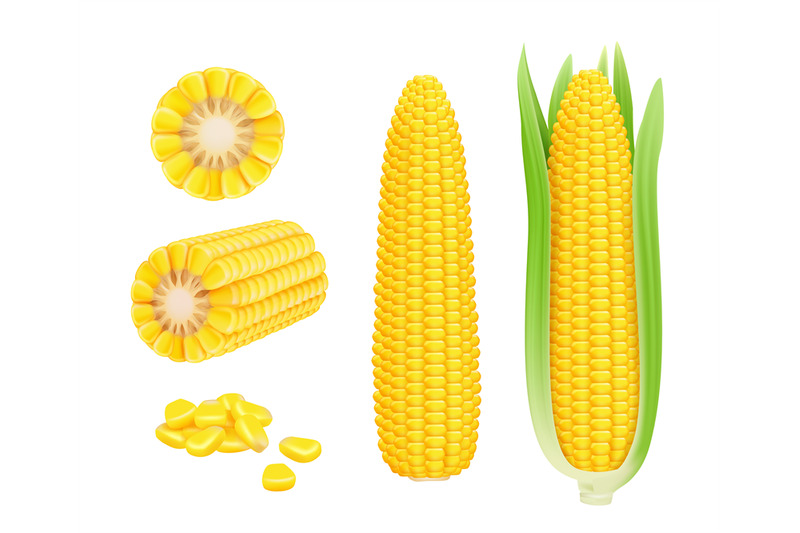 corn-cob-realistic-yellow-canned-fresh-corn-vegetables-harvest-sweetc