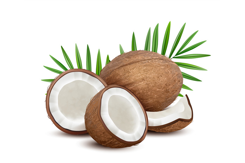 coconut-fresh-tropical-opened-coco-fruit-with-milk-and-palm-green-lea