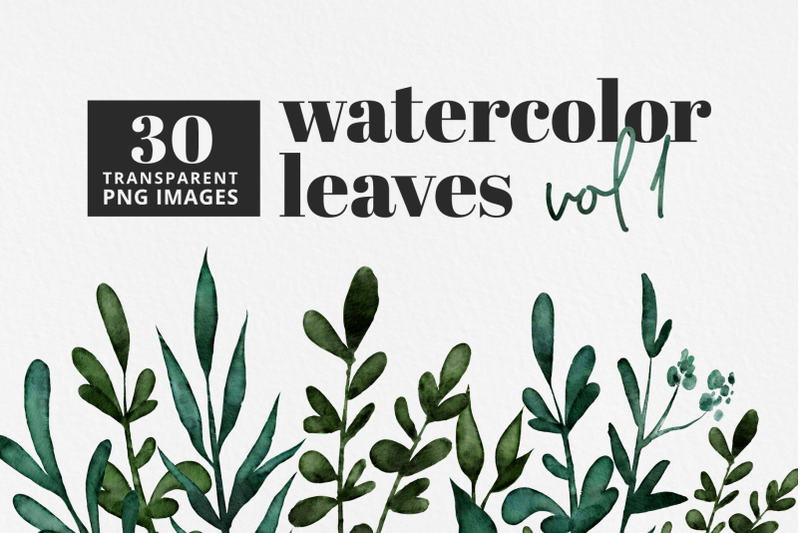 watercolor-leaves-vol-1-30-pc-set