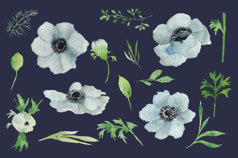 watercolour-anemone-hand-painted-watercolour-clipart-wreath-png
