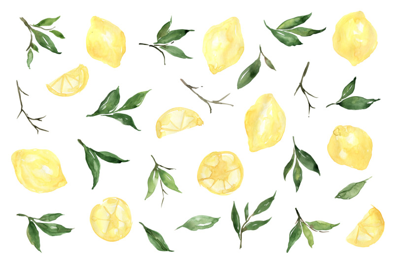watercolor-lemons-leaves-citrus-citron-png