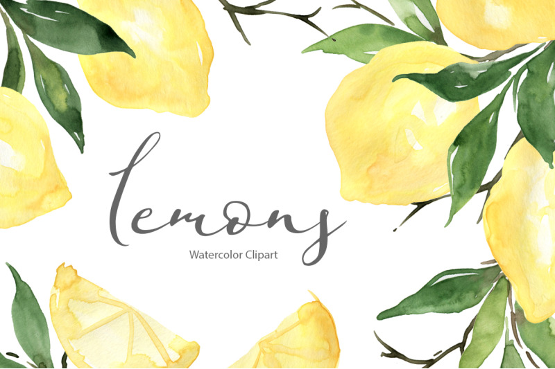 watercolor-lemons-leaves-citrus-citron-png