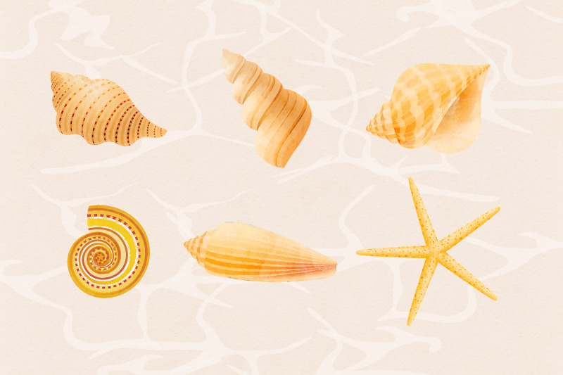 watercolor-shells-clipart