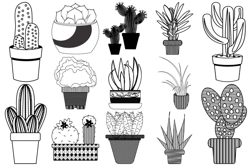 Cactus Doodles AI EPS PNG By Me and Ameliè | TheHungryJPEG