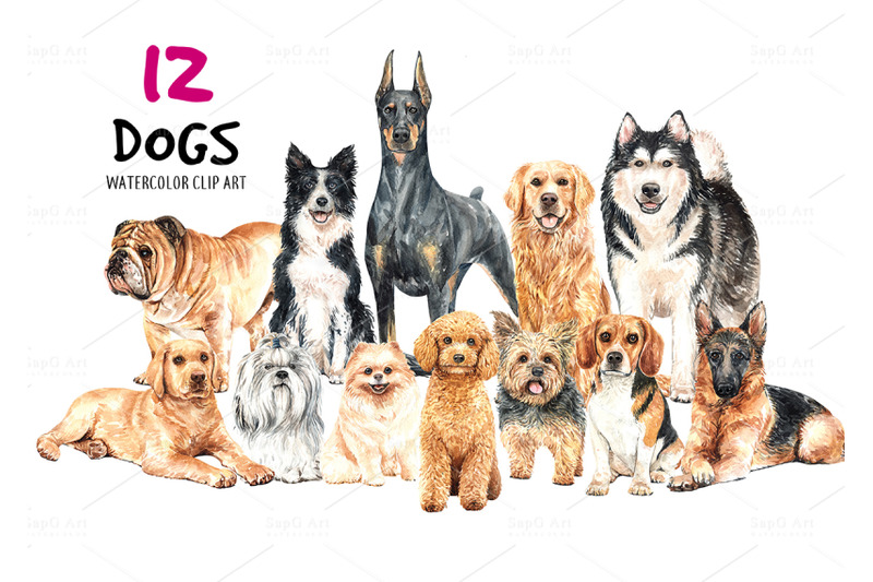 dog-watercolor-vol-3-animal-clip-art