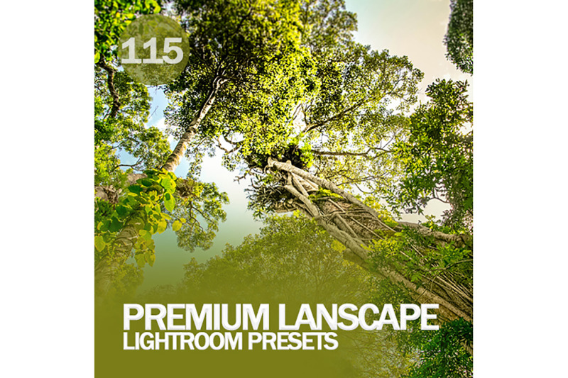 115-premium-lanscape-lightroom-presets