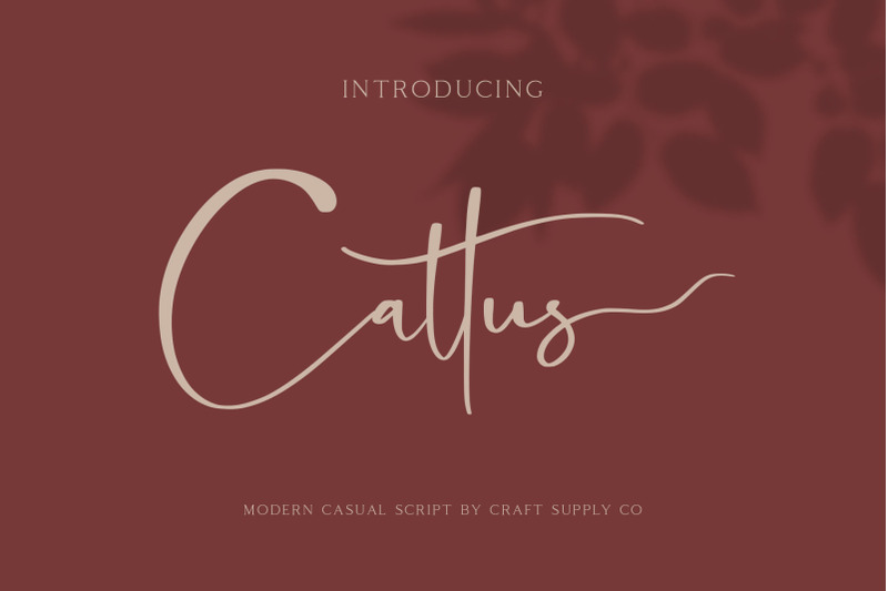 cattus-modern-casual-script-font