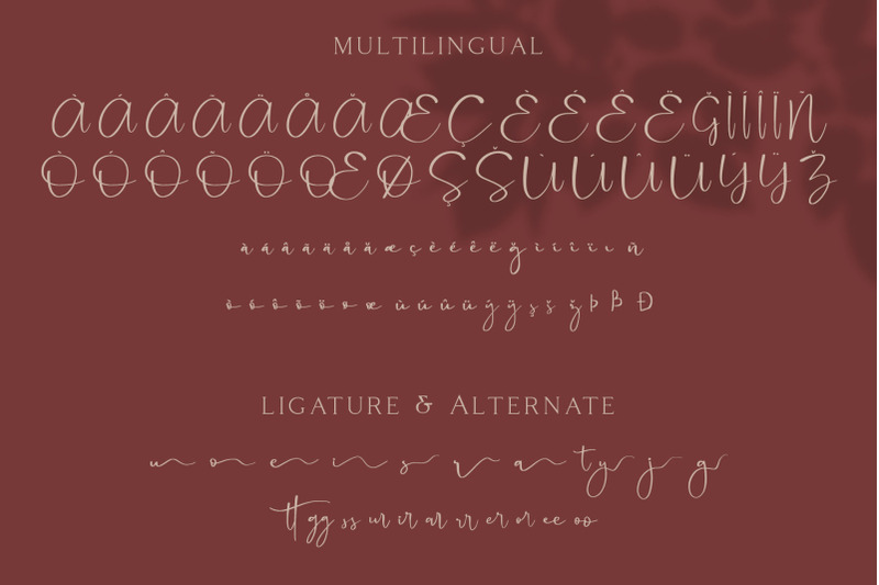cattus-modern-casual-script-font