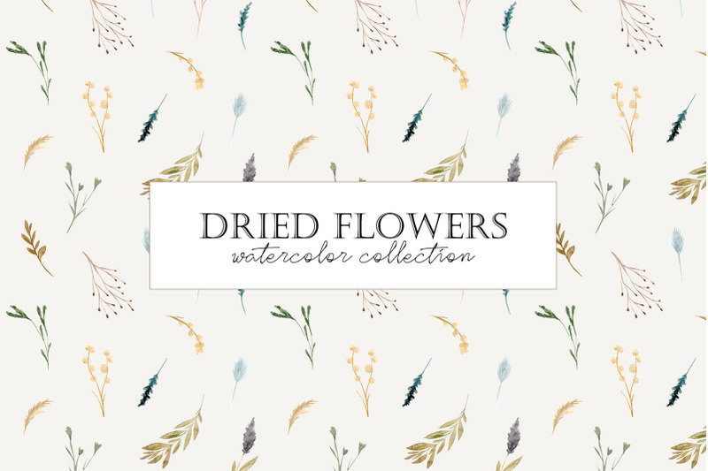 dried-flowers-watercolor-collection-patterns-and-cliparts