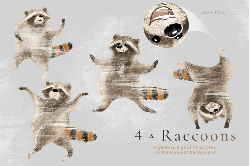 pumpkins-amp-raccoons-graphic-set