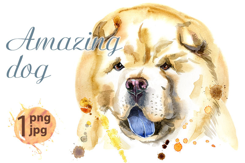 watercolor-portrait-of-chow-chow-dog