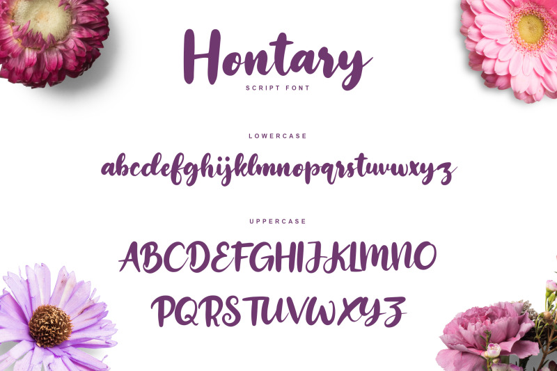 hontary-handdrawn-script-font