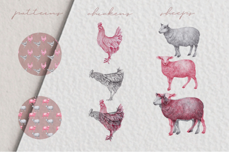 farm-animals-illustration-pack