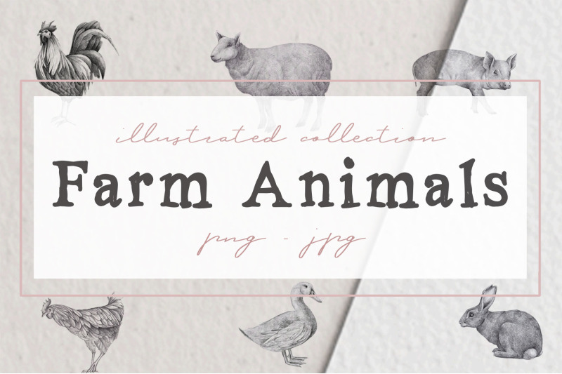 farm-animals-illustration-pack