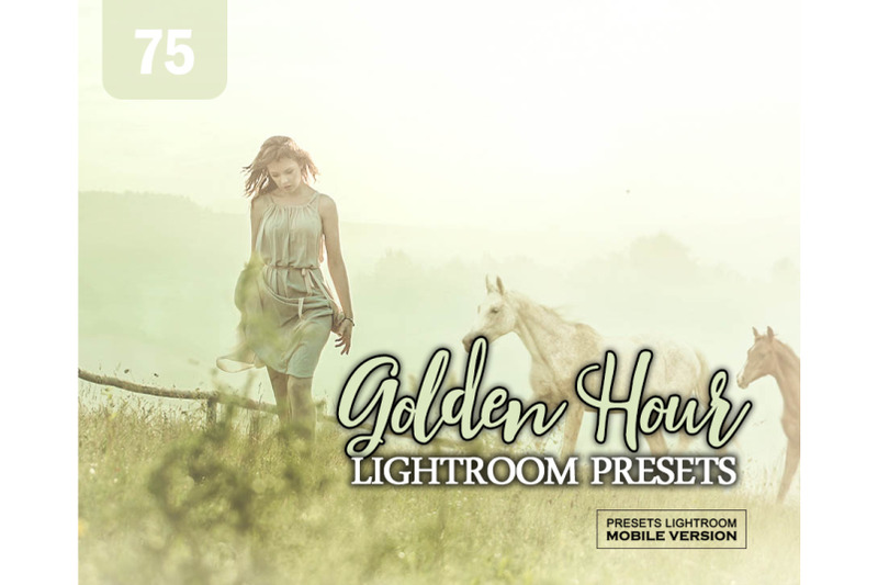 75-golden-hour-effect-lightroom-mobile-presets
